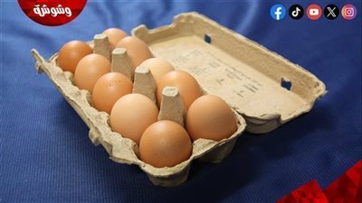 أسعار البيض في الأسواق‎‎ اليوم السبت 31/5/2025