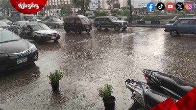 خبير مناخي: ما حدث في الإسكندرية جزء صغير من واقع مناخي أليم قادم‎     