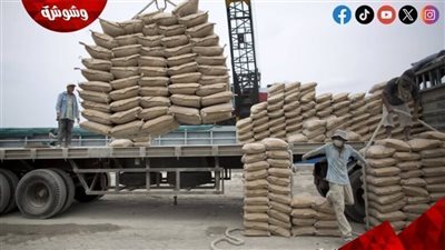 تعرف على أسعار الأسمنت اليوم الاثنين 2/6/2025