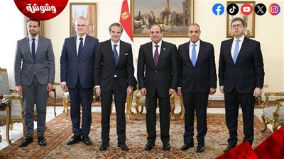السيسي يبحث مع مدير الطاقة الذرية نزع السلاح النووي ودور مصر الإقليمي‎ 