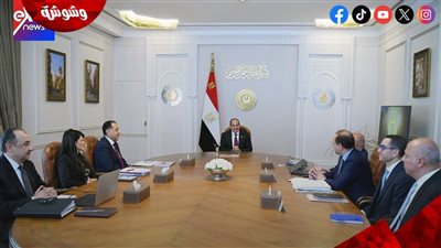 السيسي يوجه بتطوير شركات قطاع الأعمال وزيادة الشراكة مع القطاع الخاص‎ 