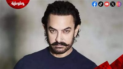 حقيقة زواج عامر خان