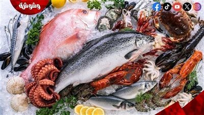 تعرف على أسعار الأسماك فى الأسواق‎‎ اليوم الاربعاء 4/6/2025
