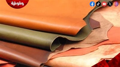 رئيس شعبة الجلود: الصناعة ثروة قومية ونطالب بتفعيل دور المجازر لزيادة الدخل القومي
