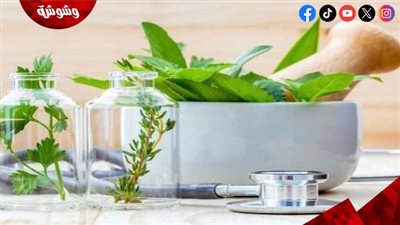  3 أعشاب مفيدة لالتهاب المسالك البولية