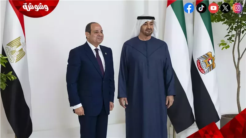 رئيسا مصر والإمارات