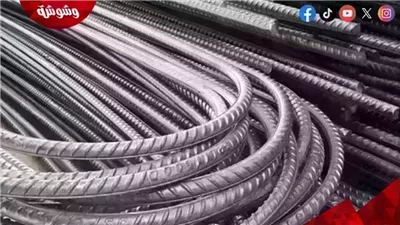 أسعار الحديد اليوم الجمعة 13/6/2025