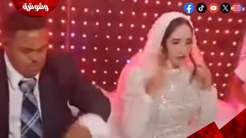 ارشيفية