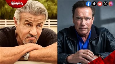 أرنولد شوارزنيجر وسيلفستر ستالون يُنهيان شجارهما بهذه الطريقة!