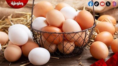 أسعار البيض في الأسواق‎‎ اليوم الأحد 22/6/2025