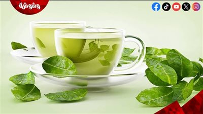 دراسات تكشف أسراره.. الشاي الأخضر درع طبيعي ضد الزهايمر