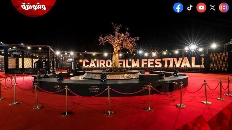 مهرجان القاهرة السينمائي