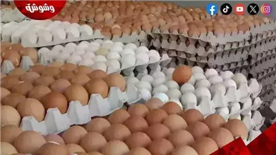 أسعار البيض في الأسواق‎‎ اليوم السبت 27/9/2025