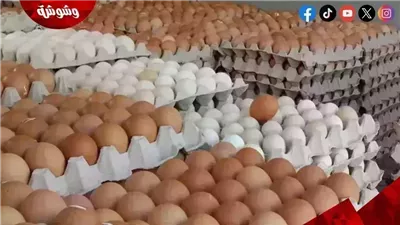 أسعار البيض في الأسواق‎‎ اليوم الجمعة 3/10/2025