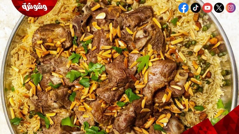أرشيفية
