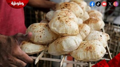 المتحدث باسم شعبة المخابز: زيادة الخبز السياحي 10 إلى 15% خلال أسبوع   