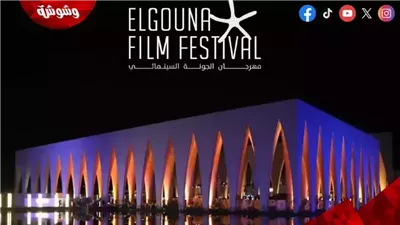 نائب المدير التنفيذي للجونة: تنظيم الفعاليات المتزامنة من التحديات التي واجهتنا هذا العام