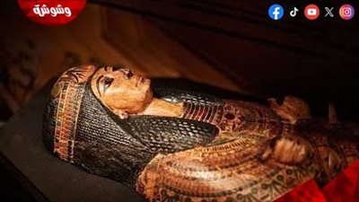 جمال شعر الفراعنة.. وصفات سحرية من التاريخ تكشف السر