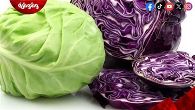 الكرنب كنز غذائي متكامل يعزز المناعة ويحمي القلب