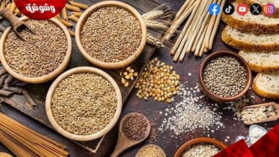 مدبولي: ننفذ أكبر مشروع قومي للقمح والحبوب لتحقيق الاكتفاء الذاتي لمصر