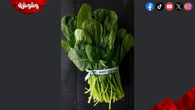 نصائح لرفع الهيموجلوبين في الدم بدون أدوية