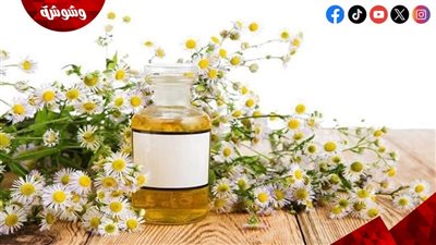 زيت البابونج.. مكون طبيعي لعلاج التهابات البشرة الحساسة