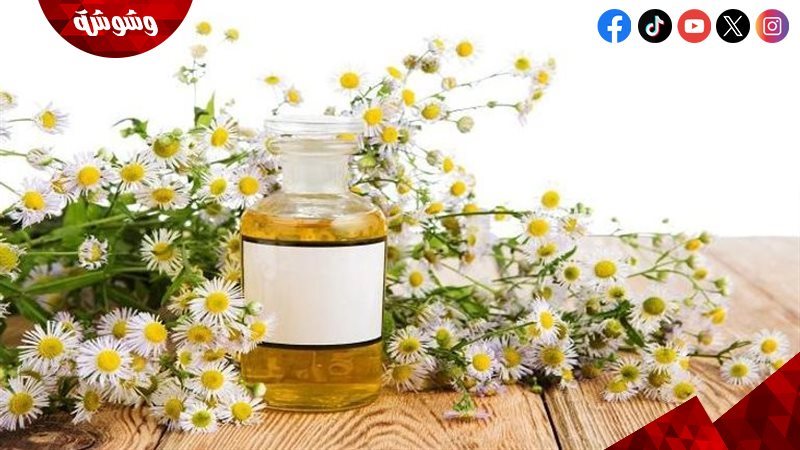 زيت البابونج