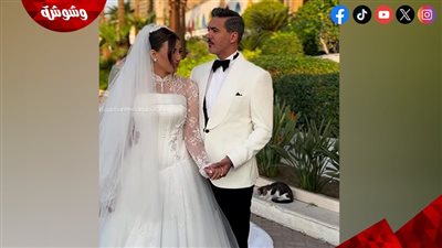 الصور الأولى لحفل زفاف هايدي موسى على المذيع محمد غانم 