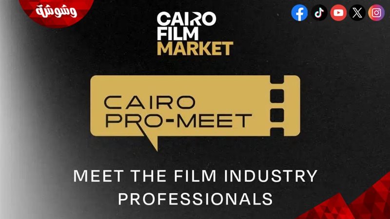 القاهرة السينمائى