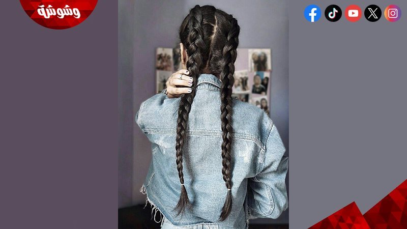 الضفاير العريضة
