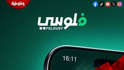 خبير اقتصادي عن تطبيق 