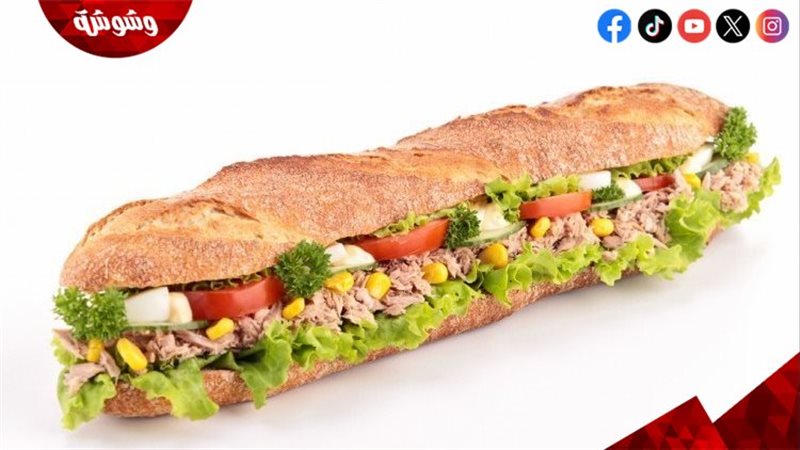 ساندويش التونة للفطور