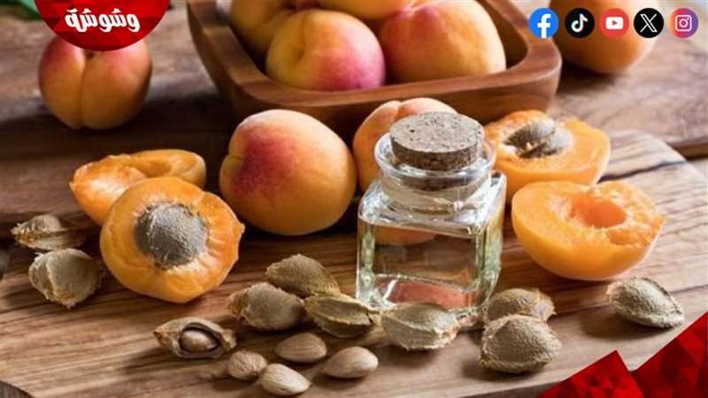 زيت المشمش