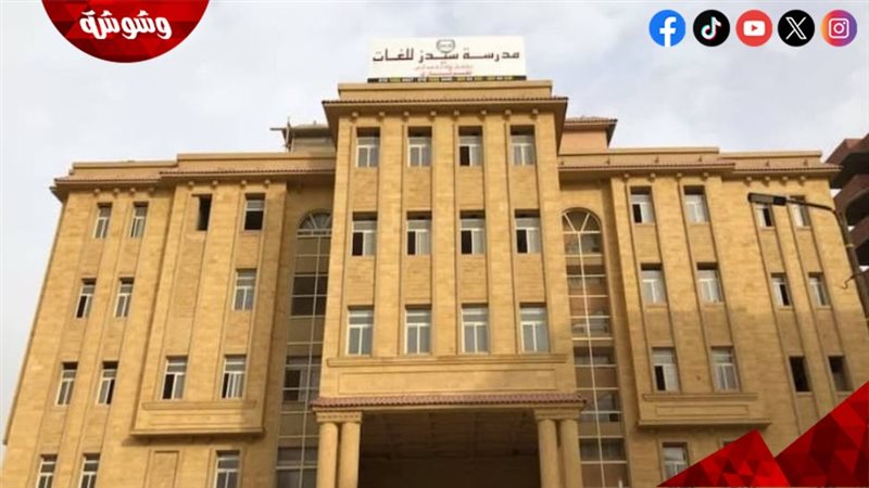 ارشيفية 