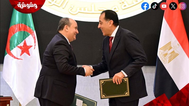 التعاون بين مصر والجزائر