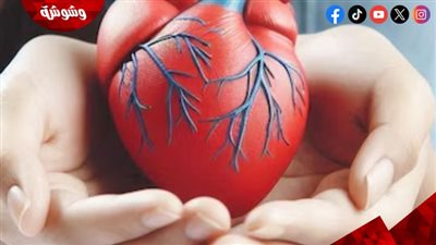 7 مشروبات لدعم صحة القلب.. اعرفيها 