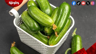 كيف تساعد الكوسة في تعزيز صحة المرأة اليومية؟