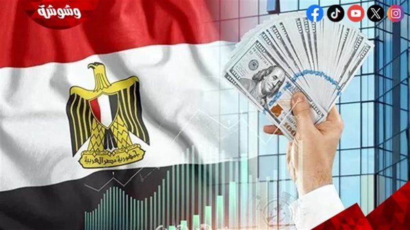 الاستثمار