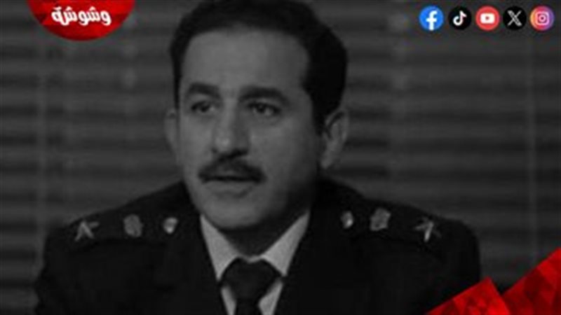 أحمد حلمي 