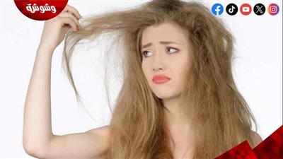 وداعًا لهيشان الشعر في الشتاء.. أطعمة سحرية تعيد له النعومة والقوة