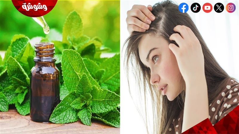 زيت النعناع للشعر