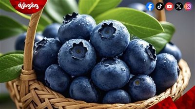 التوت الأزرق.. سر الجمال الطبيعي للسيدات