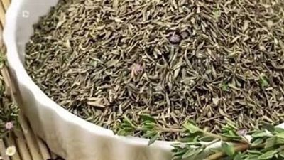 الزعتر السحري.. سر طبيعي لتحسين الهضم والمزاج والأعصاب