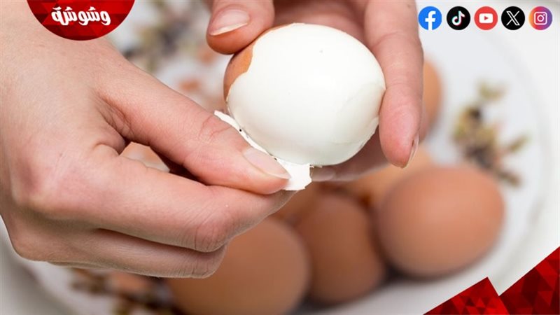 فوائد قشر البيض