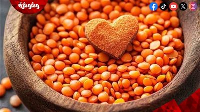 العدس في النظام الغذائي الصحي.. سر الشبع والطاقة المتوازنة