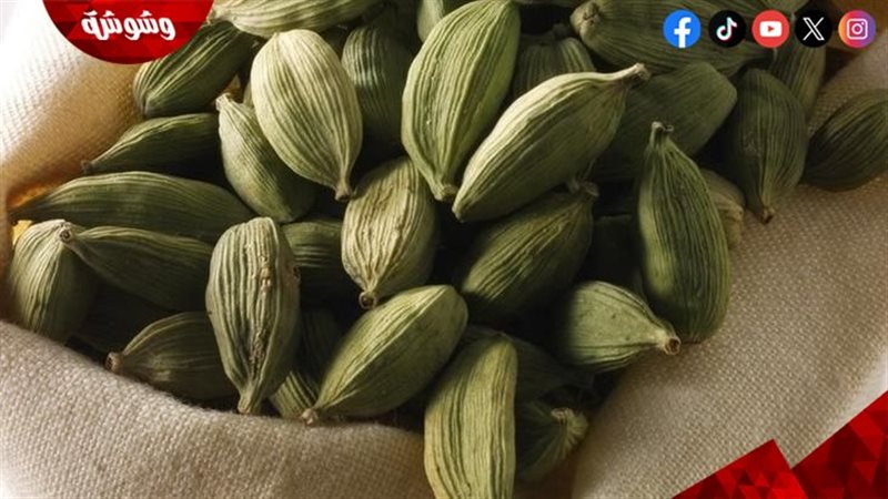 الحبهان