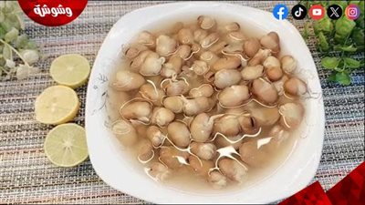 الفول النابت.. وجبة صحية وسهلة التحضير في المنزل