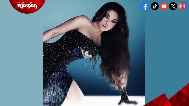 هيفاء وهبي 