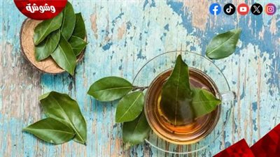 وصفة ورق اللوري لعلاج نزلات البرد والتهاب الحلق