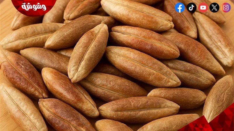 نواة البلح